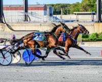 DSBF: Beachalator, Hawaiian Warfare, Blue Jay’s Watchin win at Harrington