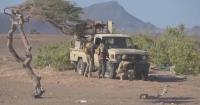 Yemeni forces launch major offensive to reverse Houthi gains: experts