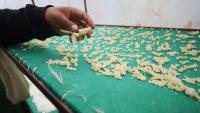 Modi gifted Gulmarg, Konark, Yeoor cheeses to Swiss PM. 5 other popular varieties from India