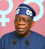 Tinubu’s Environmental Agenda: Policies, Progress, Gaps