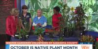 Master gardeners to hold 20th annual native plant sale in Sarasota County