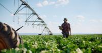 5 tips from an economist to maximize farm success