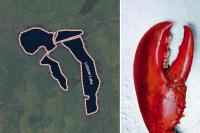 This Maine Lake Is Literally Shaped Like a Lobster Claw