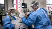 7 of history’s deadliest plagues and the science behind their spread