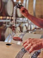Steric Systems Introduces Cost-Effective Solution for Wine Quality Enhancement Amid Early Harvest Challenges