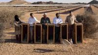 Saudi 250MW solar PV site is base for endangered species breeding programme