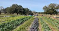This Baton Rouge farm gives away free produce, and now they’re fundraising with a 5-course dinner.