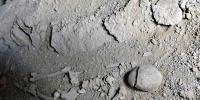 A Metal Shard in a Dead Woman’s Spine Just Exposed a 500-Year-Old Mystery