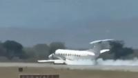 Moment plane packed with tourists makes emergency landing after hitting ZEBRA during take-off as smoke billows from wing