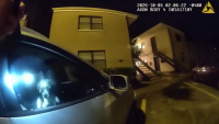 2 dogs found inside locked SUV near Tampa apartments; owner arrested, charged with animal cruelty