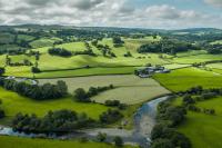 Report: UK ‘not on track’ to meet 2030 biodiversity targets