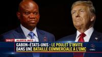 Gabon’s poultry import ban sets up a direct clash with Washington at the WTO