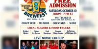 Beach Glass BrewFest brings craft drinks, food and live music to downtown New Buffalo Saturday