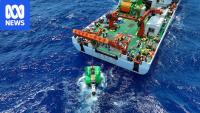 Experts question viability of billion-dollar deep-sea mining gold rush