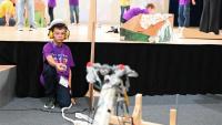 Turkmen students to compete in international robotics competition in South Korea