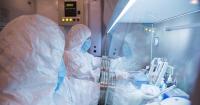 What do we know about death of anti-plague researcher in Siberia and is there a wider risk?