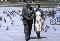 Americas advance on healthy aging, but gaps remain as 2030 approaches