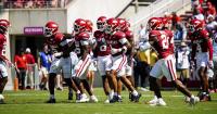 Ben Bogle's career night gives Arkansas defense a steady presence
