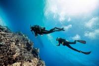 Dominica’s Dive Sector receives international recognition from Scuba Diving magazine