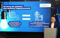 Poland unveils significant new home storage subsidy