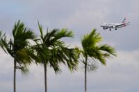 Man smuggled live birds in his underpants from Cuba to Miami, feds say