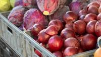 How SA farmers can crack retail and unlock market access