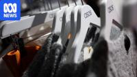 Customers' personal details may have been accessed in hack, Asos says