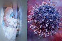 Russia Plague: 5 Unanswered Questions