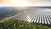 Co-sponsors of sustainability initiative advance work plan towards MC15