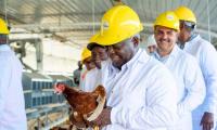 OPM: “Prime Minister Drives Commitment to Cut Egg Imports as Golden Yolk Produces 200,000 Eggs”