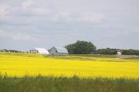 International delegates explore Sask.'s role in food and energy security
