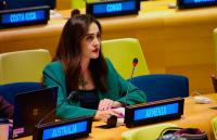 Varduhi Melikyan: Counter-terrorism agenda should not be instrumentalized for political purposes