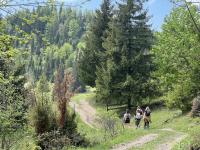 I hiked the ‘Camino of the East’ and discovered Europe’s next great walking destination