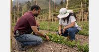 Regenerative agriculture targeted across contracted farms by 2035