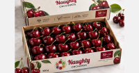 Early Armenian cherries are targeting Europe and the Gulf