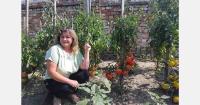 Ukrainian grower maintains collection of 400 tomato varieties
