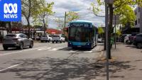 Sydney bus lane proposal draws ire of lord mayor, transport advocates