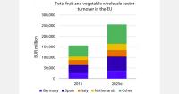 EU fresh produce wholesale sector remains fragmented as sourcing risks rise