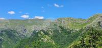 Bulgaria Hosts UNESCO Meeting on Europe’s Ancient Beech Forests