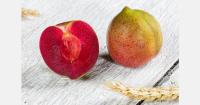 A dynamic Lovita season, backed by a major communication campaign