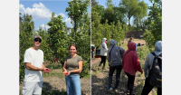 "We could be witnessing the start of Argentina's earliest cherry harvest"