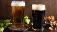 What Are The Main Differences Between Lager And Stout Beer?