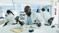 Healius vs Australian Clinical Labs: Which ASX pathology share wins?