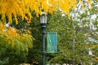 UVM Cuts Tuition costs for New England residents