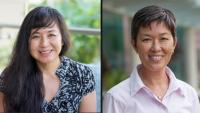 UH Cancer Center secures $3M grant to study breast cancer disparities in Hawaiʻi