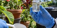 Florida Department of Health warns of mosquito-borne illnesses in tested Manatee County chickens