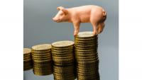 ASF outbreaks hit Serbian pork market