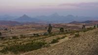 Drone strikes kill displaced families in Shiraro and hit Adwa hotels as fighting goes on across Tigray
