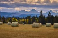 Farmers warned about fuel theft and combine fire risks