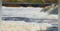 Florida DEP orders Trulieve to address wastewater discharges